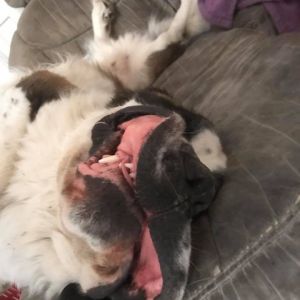 Profilbild