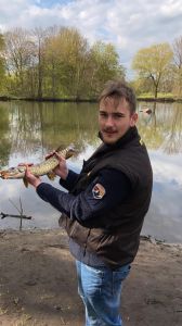 Profilbild