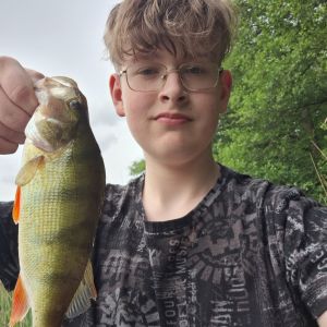 Profilbild