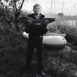 Profilbild