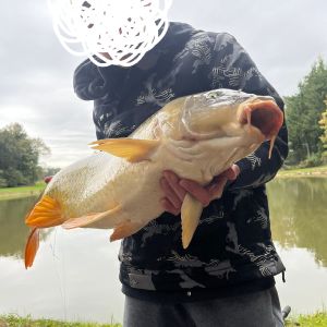Lukas Big Fisch