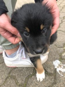 Profilbild