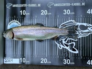 bait cast angler