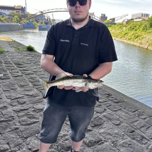 Profilbild