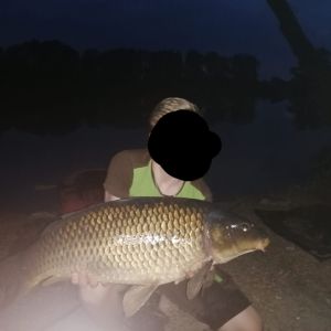 Profilbild