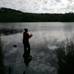 Profilbild
