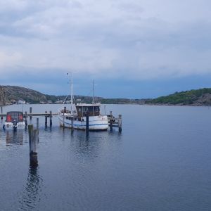 KleineElfe