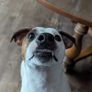 Profilbild