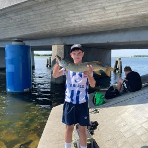 Profilbild