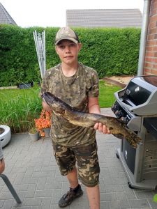 Profilbild
