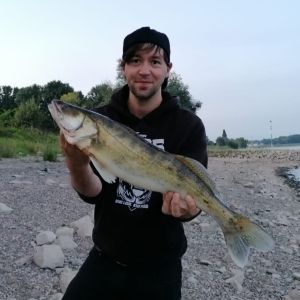 Profilbild