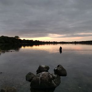 Profilbild