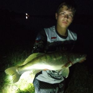 Profilbild