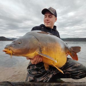 Savorfishing