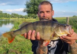 Mike_The_Pike