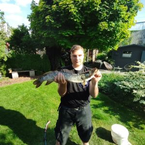 Profilbild