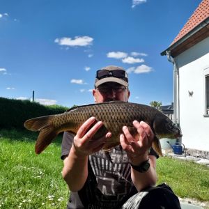 Profilbild