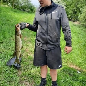 Profilbild