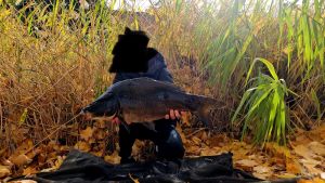 Jason_Allround