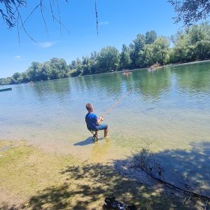 Profilbild
