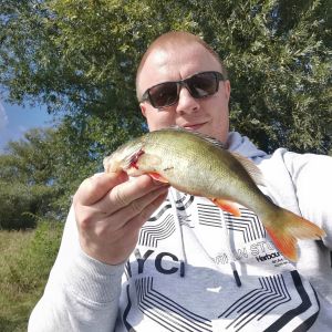 Tobias Thaele