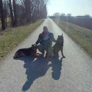 Profilbild