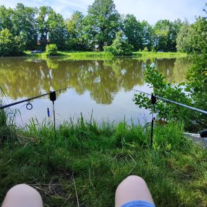 Profilbild
