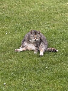 Profilbild
