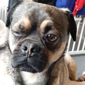 Profilbild