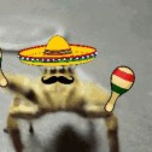 Profilbild