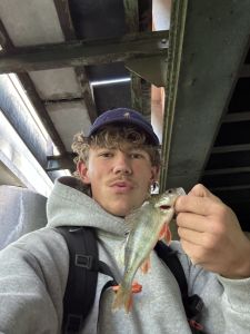 Profilbild