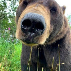 Profilbild