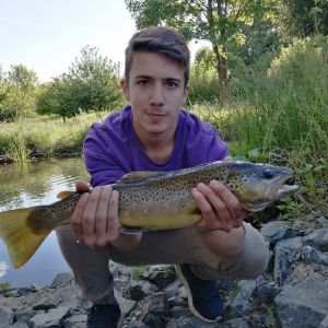 Profilbild