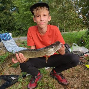 Profilbild
