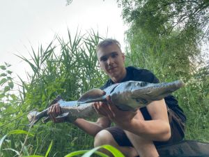 Profilbild