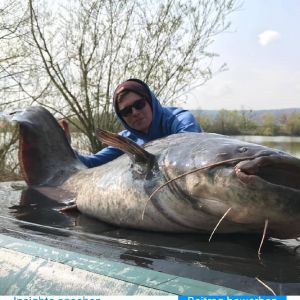 Carp/Cathunter