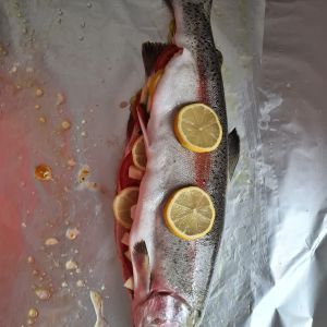 Profilbild