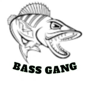 Bass.Gang.Germany