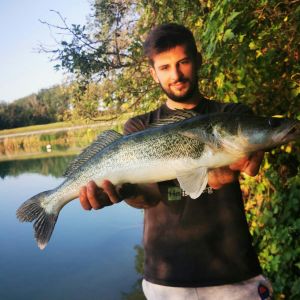 Broudis - Let's go fishing