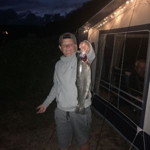 Profilbild