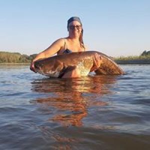 Ladyfish