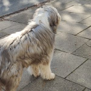 Profilbild