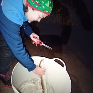 Profilbild