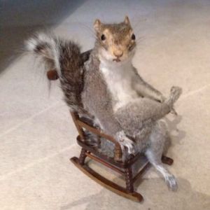 Profilbild