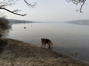 Profilbild