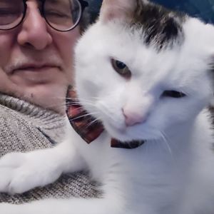 Profilbild