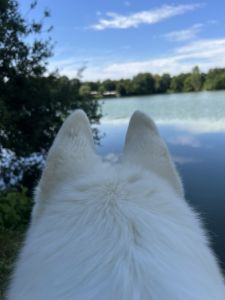Profilbild