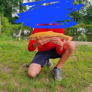 Profilbild