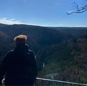 Profilbild