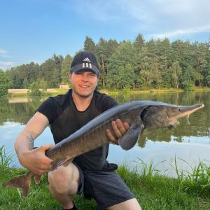 Profilbild